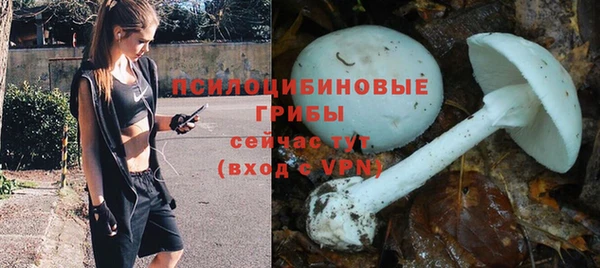 стаф Волосово
