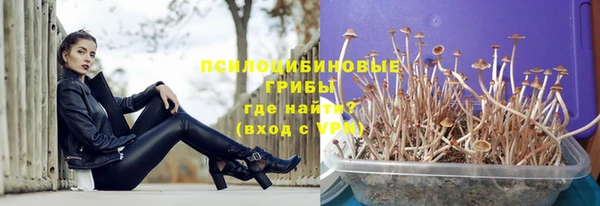 стаф Волосово