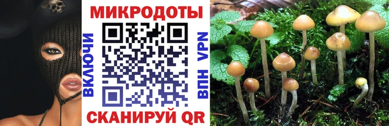 Галлюциногенные грибы Magic Shrooms цены наркотик Дмитровск